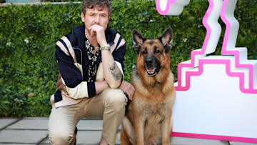Hudson & Rex Photocall - 6th Canneseries International Festival