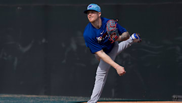 Chicago Cubs Spring Training