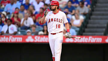 Chicago Cubs v Los Angeles Angels