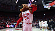 Utah Utes mascot Swoop. 