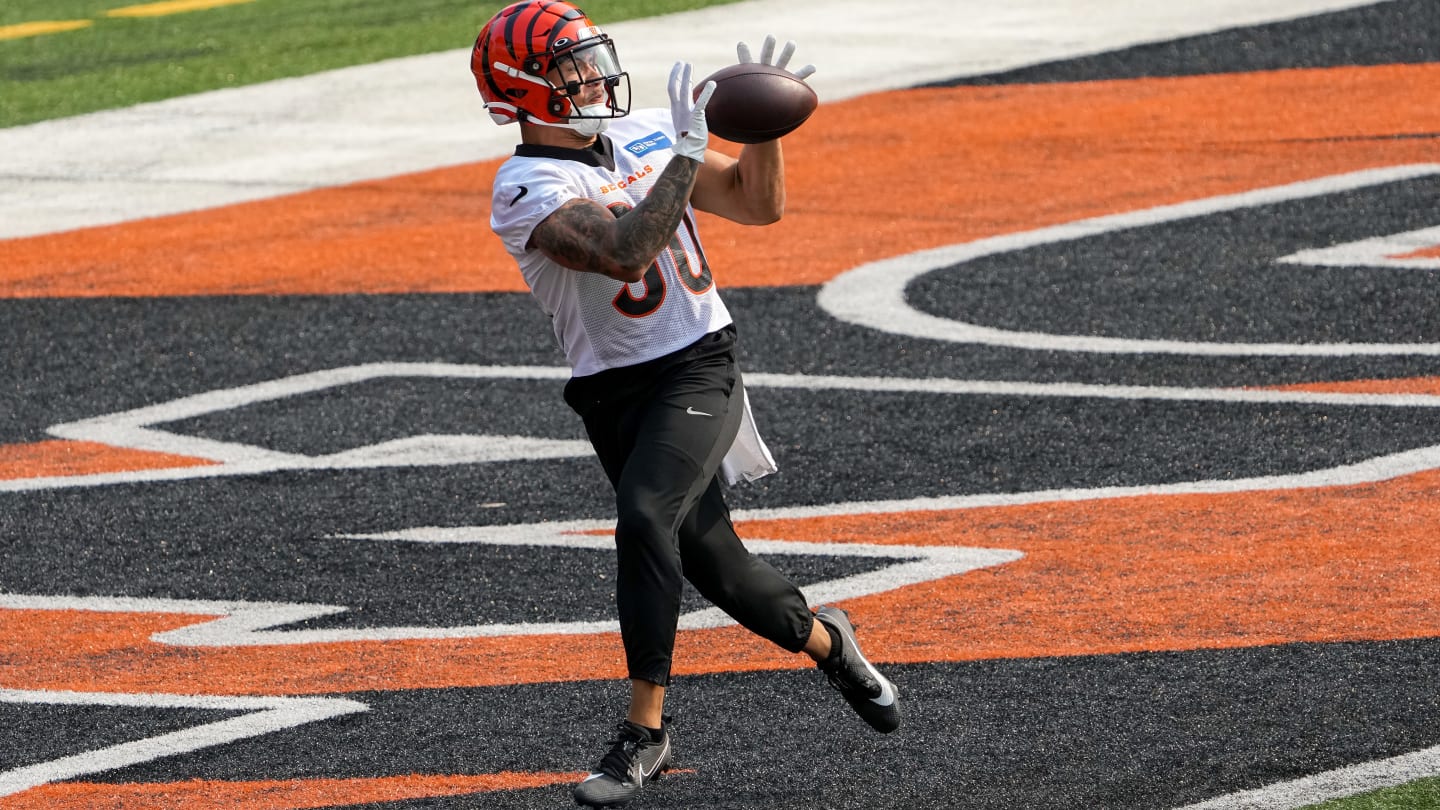 Cincinnati Bengals: 10 Bold Offseason Predictions For the Bengals, News,  Scores, Highlights, Stats, and Rumors