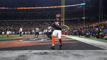 AFC Wild Card Playoffs - Baltimore Ravens v Cincinnati Bengals