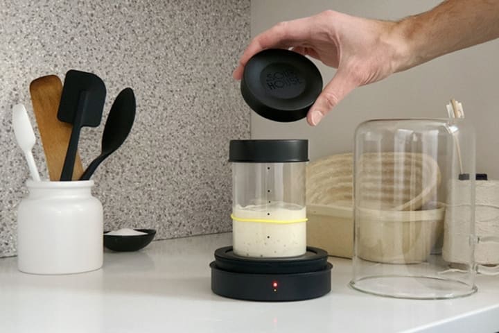 Person placing a cooling puck on a sourdough starter jar inside a a Goldie on a kitchen coutertop