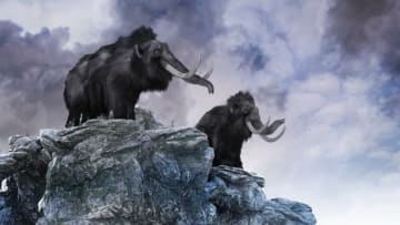 The massive megafauna of the Ice Age / Getty / VICTOR HABBICK VISIONS/SPL