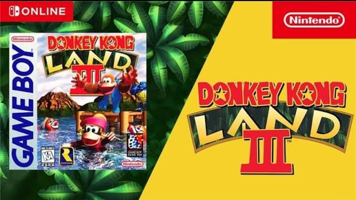 Donkey Kong Land III