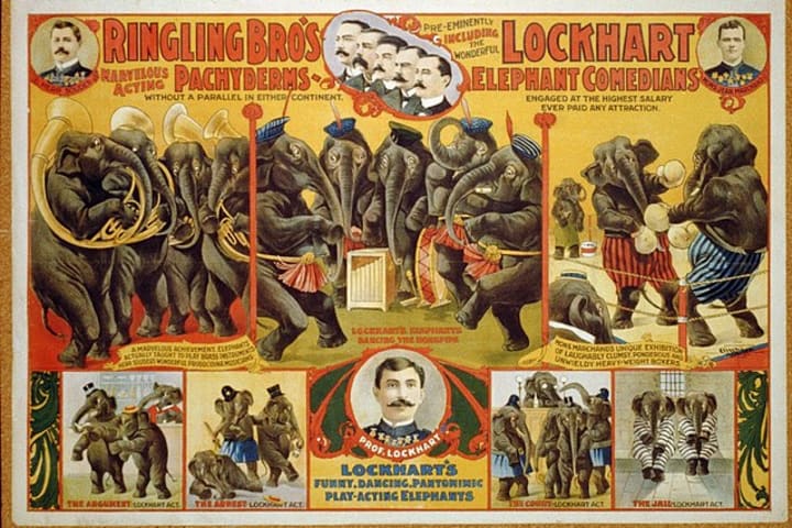 A poster advertising Ringling Bros.’s “marvelous acting pachyderms” from the Library of Congress’ collection