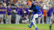 Nov 16, 2024; Gainesville, Florida, USA; Florida Gators defensive end Tyreak Sapp (94) gestures after a sack against the LSU Tigers during the second half at Ben Hill Griffin Stadium. Mandatory Credit: Matt Pendleton-Imagn Images
