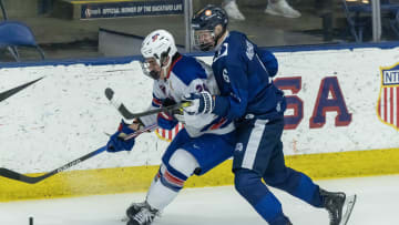 Feb 7, 2024; Plymouth, MI, USA; Finland's Niilopekka Muhonen (6) defends against USA s Shane Vansaghi (29) during the first period of the 2024 U18 s Five Nations Tournament at USA Hockey Arena. Mandatory Credit: David Reginek-USA TODAY Sports