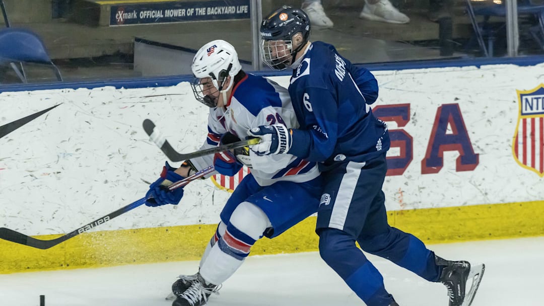 Feb 7, 2024; Plymouth, MI, USA; Finland's Niilopekka Muhonen (6) defends against USA s Shane Vansaghi (29) during the first period of the 2024 U18 s Five Nations Tournament at USA Hockey Arena. Mandatory Credit: David Reginek-Imagn Images