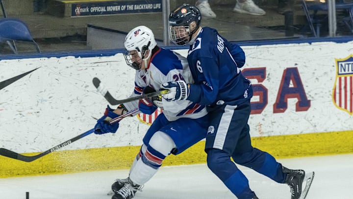 Feb 7, 2024; Plymouth, MI, USA; Finland's Niilopekka Muhonen (6) defends against USA s Shane Vansaghi (29) during the first period of the 2024 U18 s Five Nations Tournament at USA Hockey Arena. Mandatory Credit: David Reginek-Imagn Images