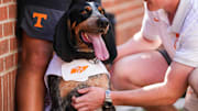 Smokey the dog is petted on the sidelines during a NCAA football game between Tennessee and Georgia at Neyland Stadium in Knoxville, Tennessee, on September 13, 2025.