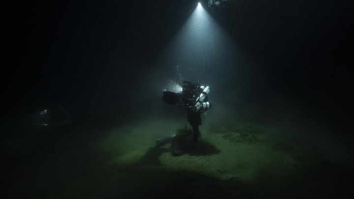 Biologist diver at work