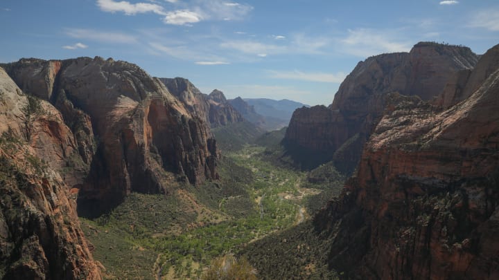 A view of Zion National Park, which is part of \"a really iconic landscape\" in the Southwest that Steven Kannenberg, a postdoctoral scholar at the University of Utah, said will be affected by the 'unprecedented' juniper tree dieback.

Delgado Juniper 5956