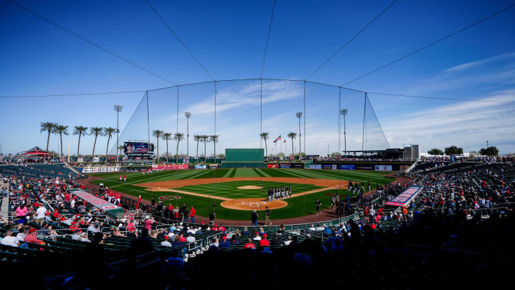 Fans take their seats before the first inning of the MLB Cactus League spring training game.