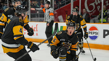 Brantford Bulldogs v Ottawa 67's