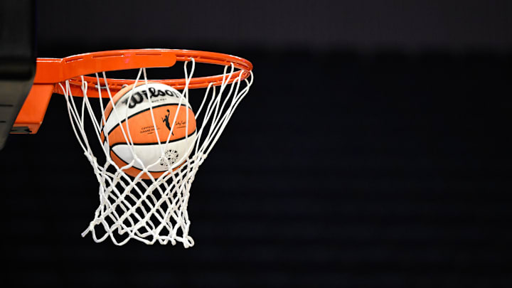 Aug 19, 2025; San Francisco, California, USA; The WNBA logo is seen on a ball before the Golden State Valkyries play the Phoenix Mercury at Chase Center.