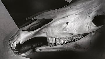 Light (Kefahuchi Tract #1) by M. John Harrison. Image Courtesy: Victor Gollancz