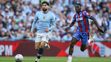 Crystal Palace v Manchester City - Emirates FA Cup Final