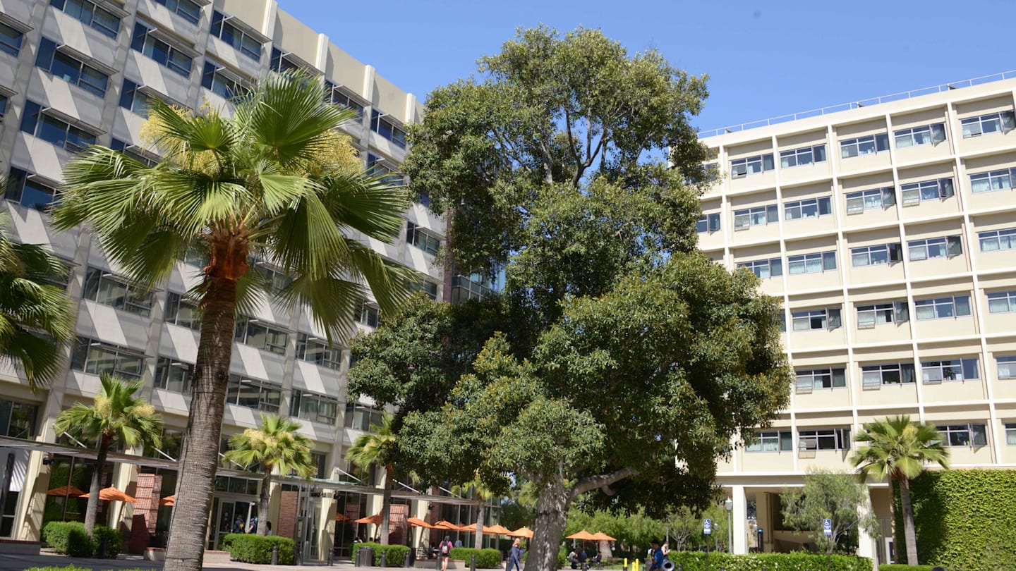 加州大學洛杉磯分校橄欖球尾門吹牛的重點
