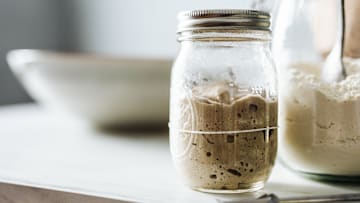 This pile of yeast and bacteria could be helpful for scientists.