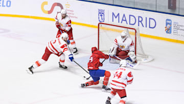 IIHF Ice Hockey World Championship In Madrid, Bruno Idzan shoots on goal.