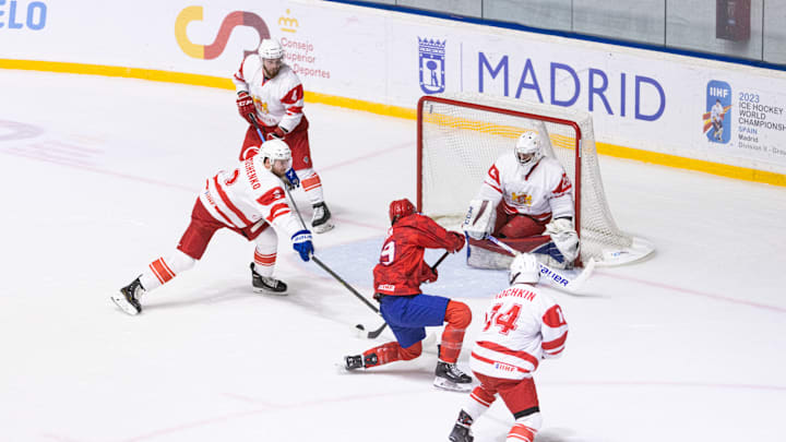 IIHF Ice Hockey World Championship In Madrid, Bruno Idzan shoots on goal.