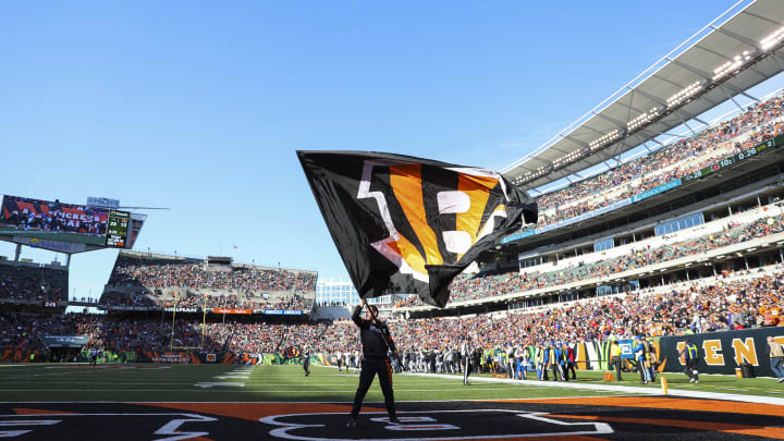 Baltimore Ravens v Cincinnati Bengals