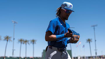 Chicago Cubs Spring Training