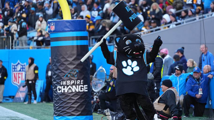 Sir Purr, Panthers.