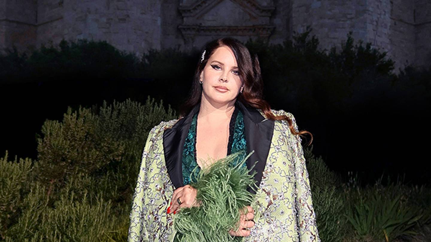 Lana Del Rey's laptop and cameras stolen resulting in songs and