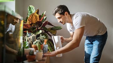 A new device might make it easier for you to have a green thumb.