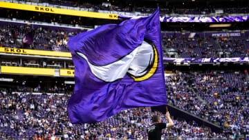 Minnesota Vikings flag