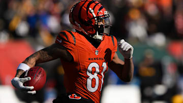 AFC North, NFL, Jermaine Burton