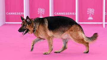 6th Canneseries International Festival : Day Three
