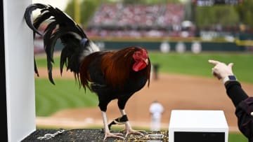South Carolina baseball mascot Sir Big Spur at a game at Founders Park
