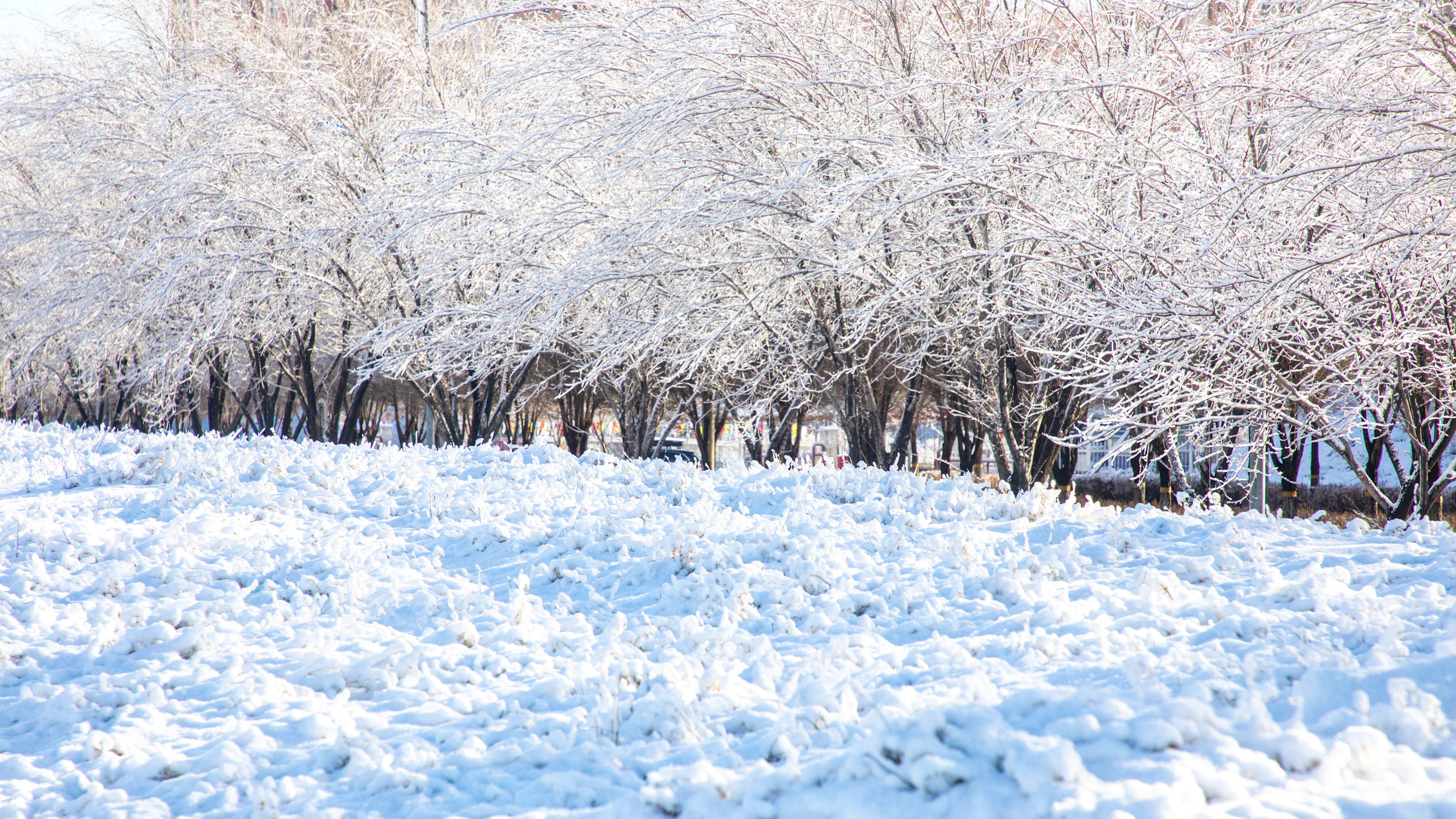 10 Cold-Weather Misconceptions You’ve Probably Believed Your Whole Life