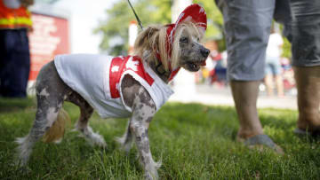 Toronto Celebrates Canada Day With Parade And Fireworks