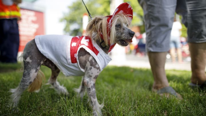 Toronto Celebrates Canada Day With Parade And Fireworks