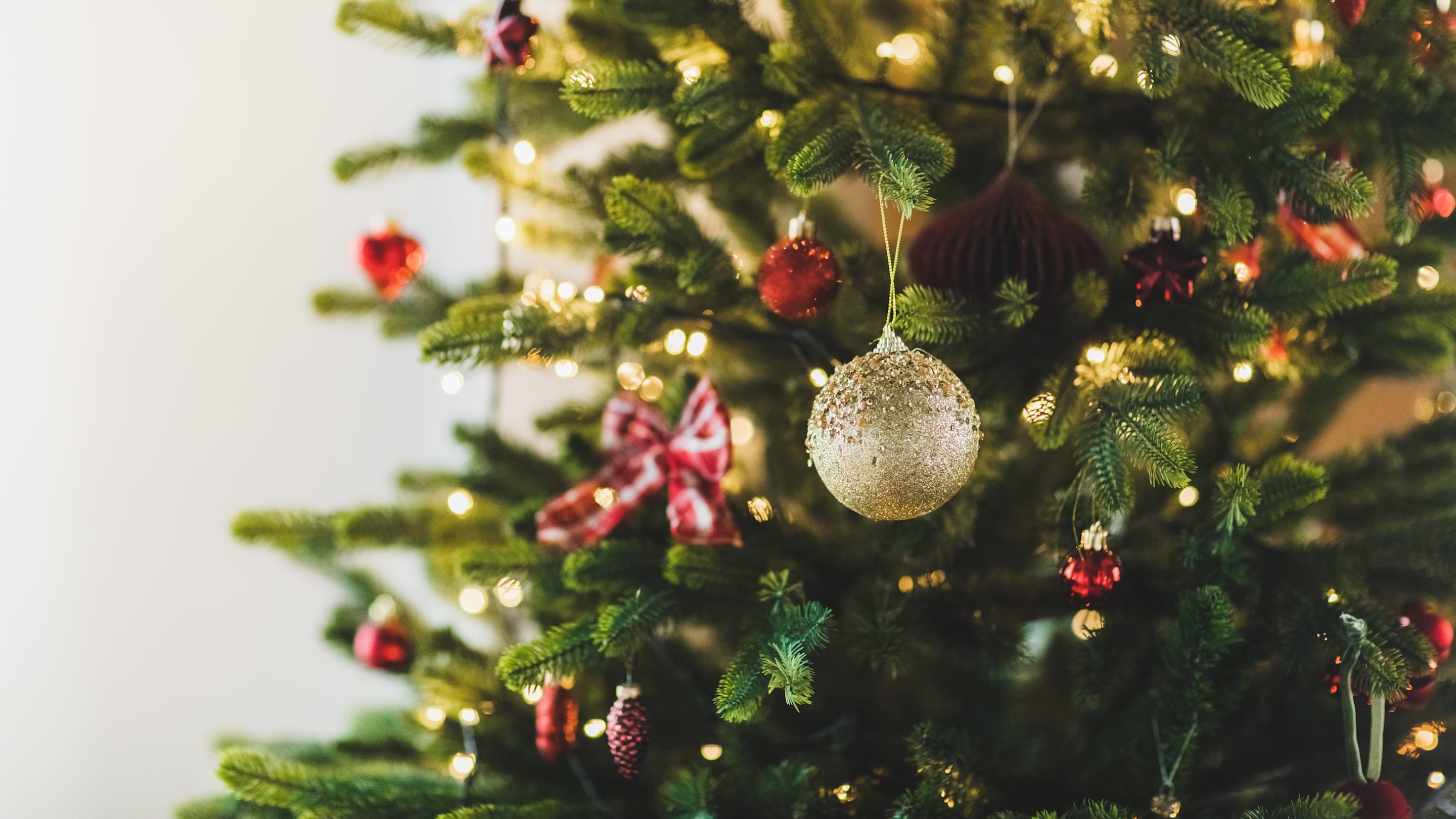 How Did Evergreen Trees Become a Christmas Symbol?