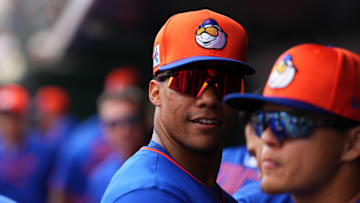 New York Mets v St. Louis Cardinals