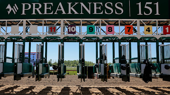 151st Preakness Stakes