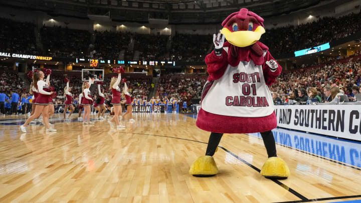 South Carolina Gamecocks mascot Cocky