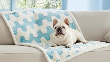 Lesure Debuts New Stylish Pet Bed & Blanket Prints
