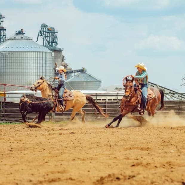 A pair of cowgirls competing in the team roping event.