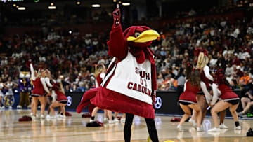 LSU v South Carolina