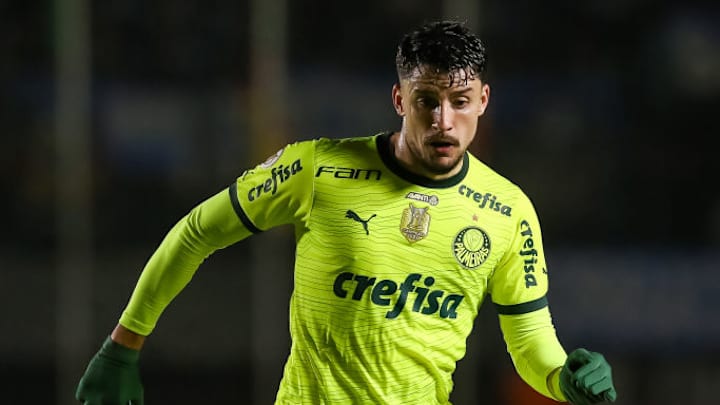 Gremio v Palmeiras - Brasileirao 2024