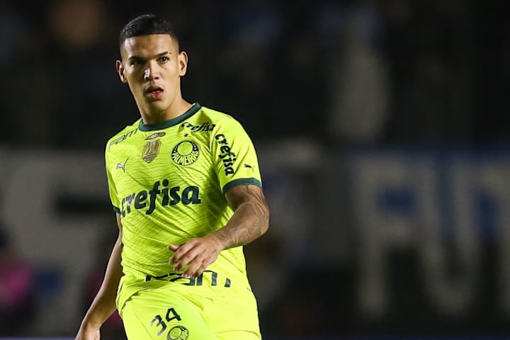 Gremio v Palmeiras - Brasileirao 2024