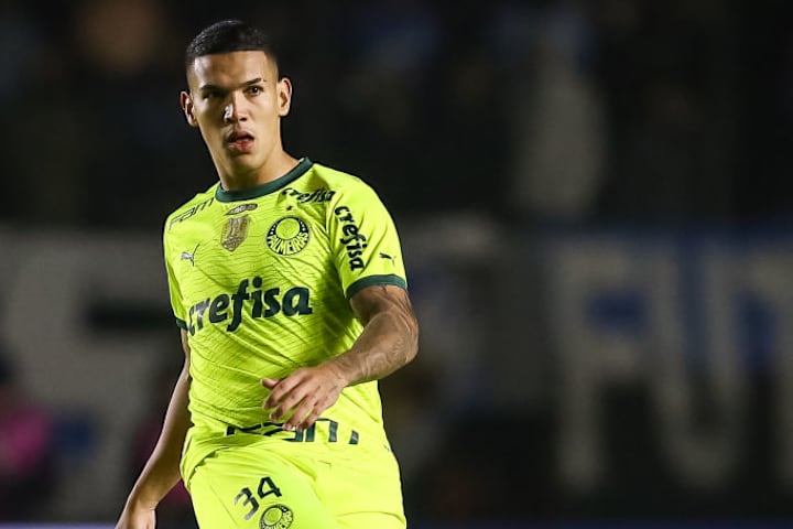 Gremio v Palmeiras - Brasileirao 2024