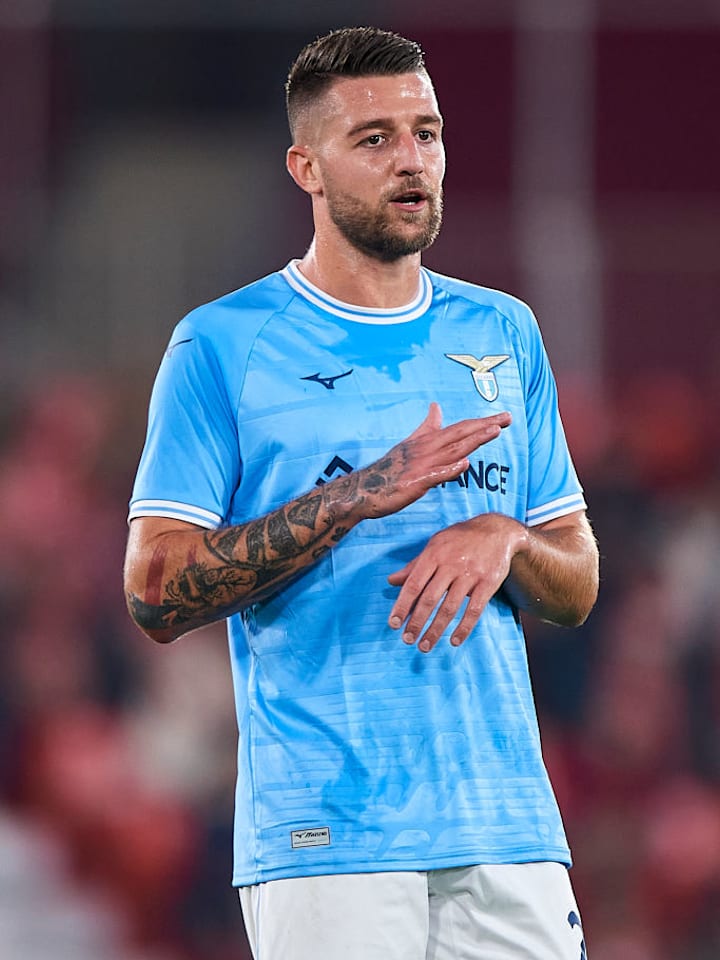Milinkovic Savic