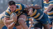 Cal rugby